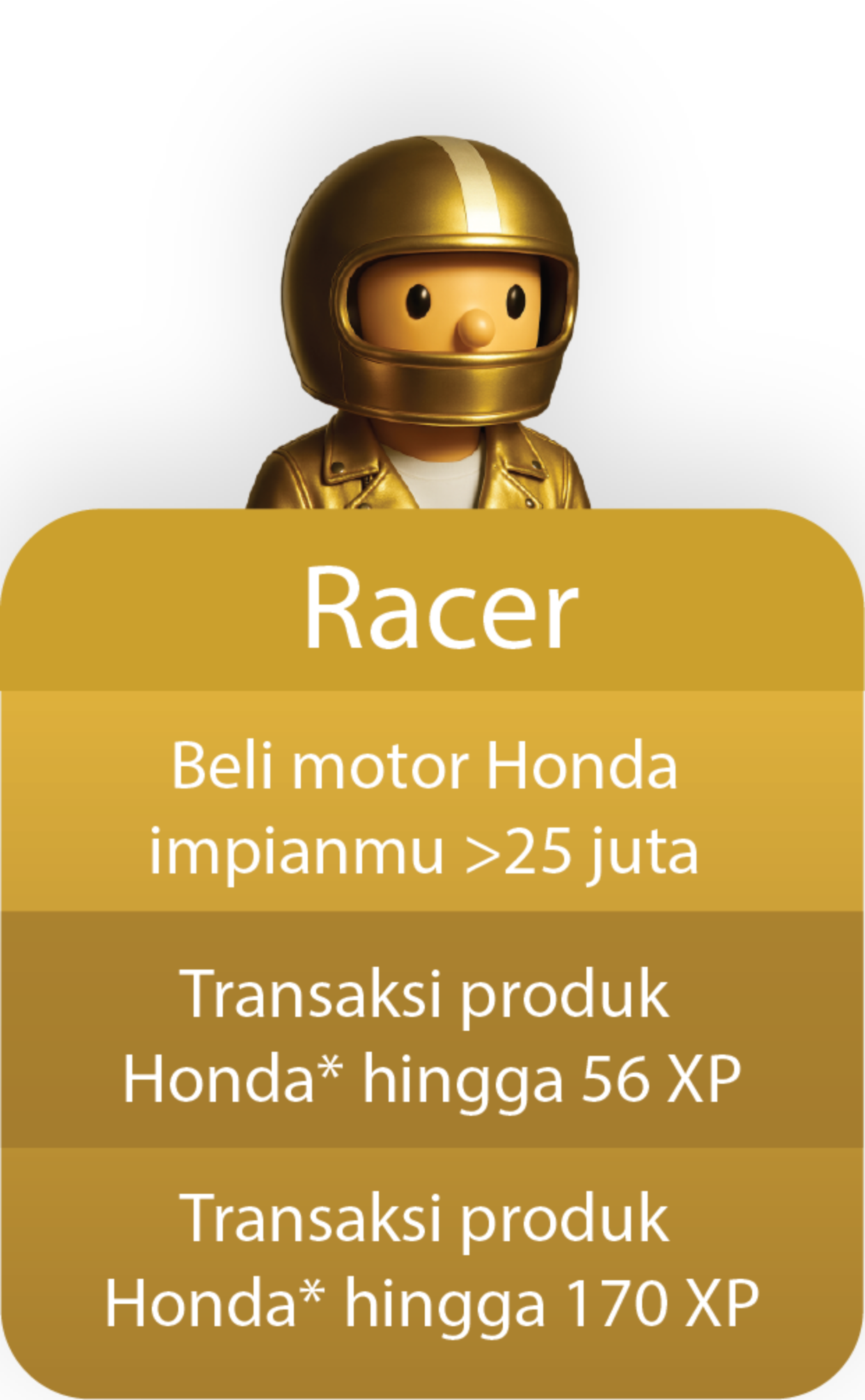 Racer Level